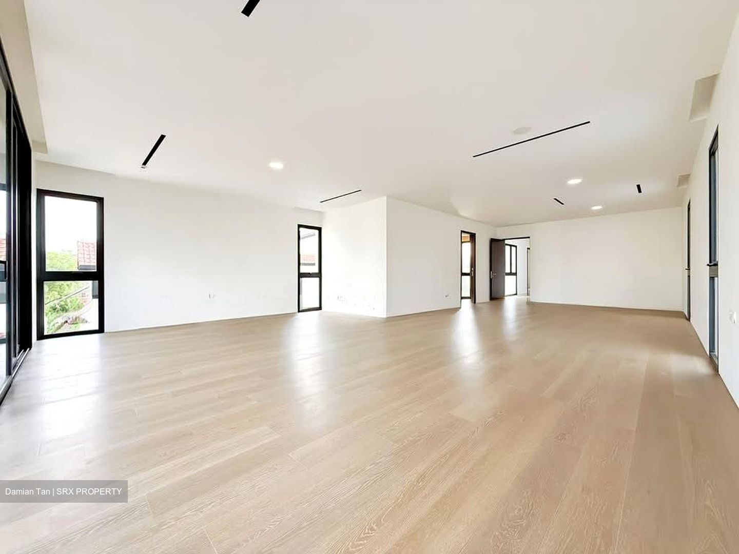 Henry Park (D10), Detached #534710981